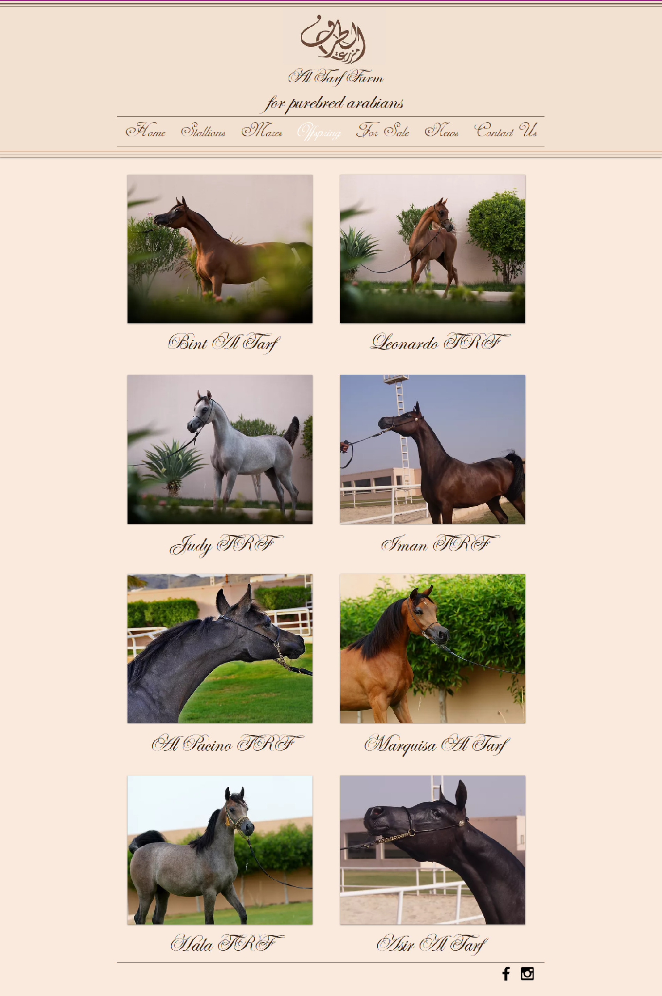 Al-Tarf Farm